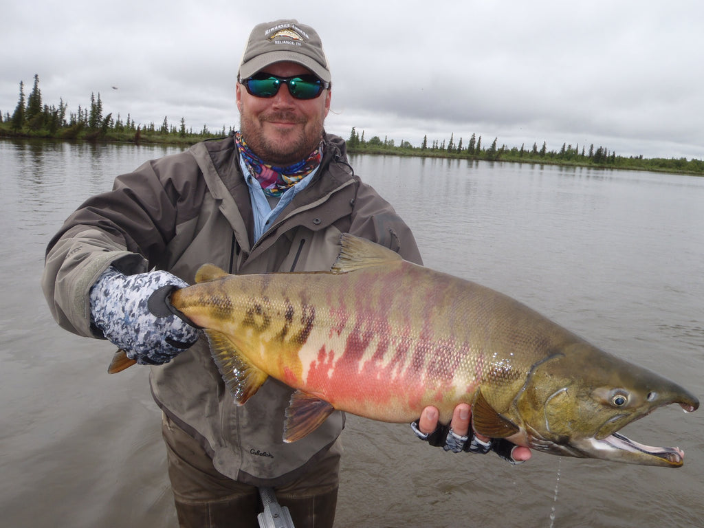 The Alagnak River and Alaska Trophy Adventures Lodge - The Fish - Part 4 (Chum Salmon)