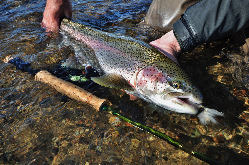 Alagnak River Fishing Forecast - Alaska Trophy Adventures a Bristol Bay Fishing Lodge expects a Fantastic 2017 Season - Alaska's Best Fishing Trip