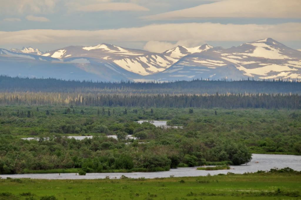 The Alagnak River and  Alaska Trophy Adventures Lodge - Part 2