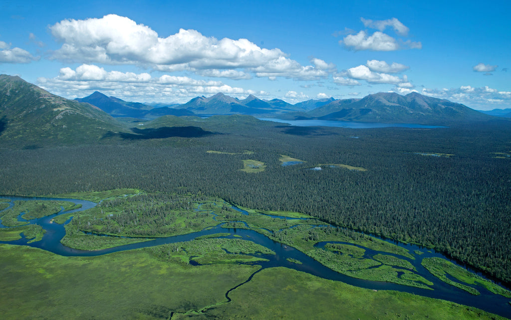 Some Places are Like a Drug!  ATA Lodge, Alaska Fishing Lodge, Bristol Bay, Alaska is That Kind of Place