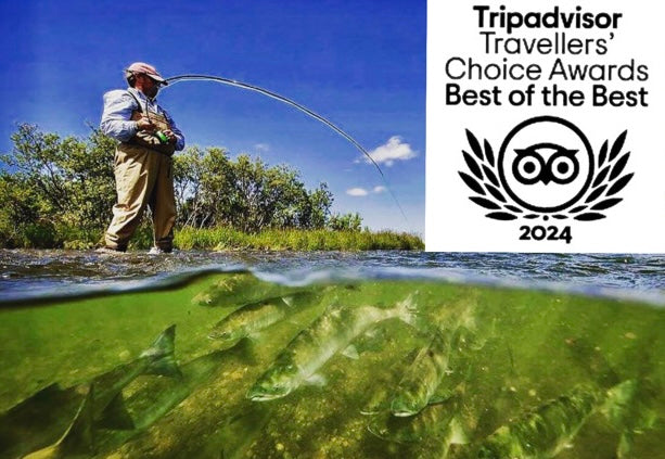 Great Weeks and Great Deals in 2024 at ATA Lodge - TripAdvisor's Traveler's Choice Award Winner for the 7th Straight Year